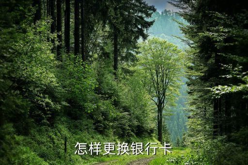 換銀行卡要什么手續(xù)，換銀行卡手續(xù)