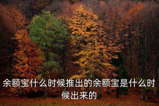 余額寶什么時(shí)候推出的余額寶是什么時(shí)候出來的