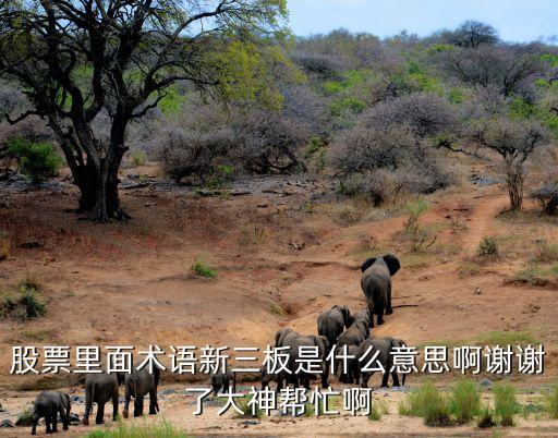 股市的新三板是什么意思，股票里面術(shù)語新三板是什么意思啊謝謝了大神幫忙啊