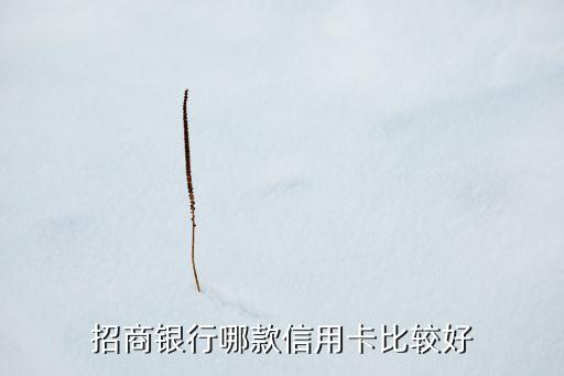 招商銀行哪款信用卡比較好