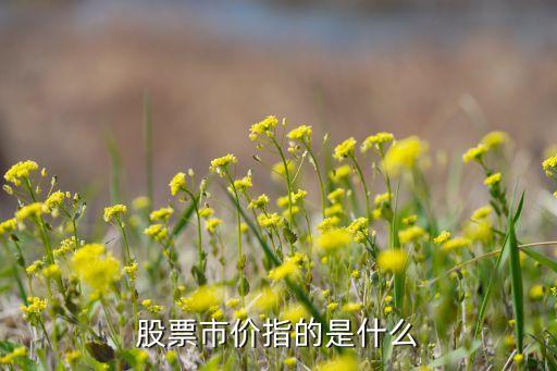 股票市場(chǎng)價(jià)指的是什么，證券市場(chǎng)股票的市場(chǎng)價(jià)格是指什么