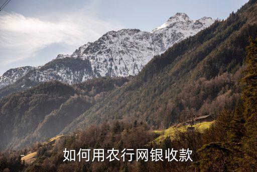 如何用農(nóng)行網(wǎng)銀收款