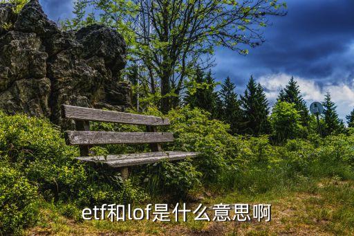 etf和lof是什么意思啊