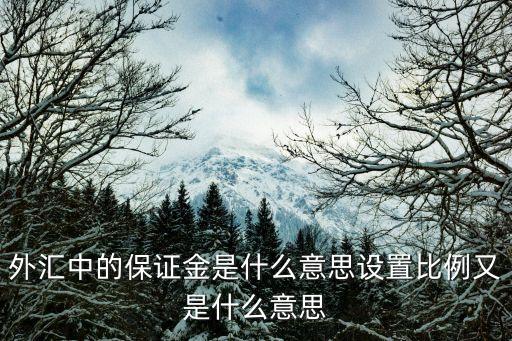 外匯中的保證金是什么意思設(shè)置比例又是什么意思