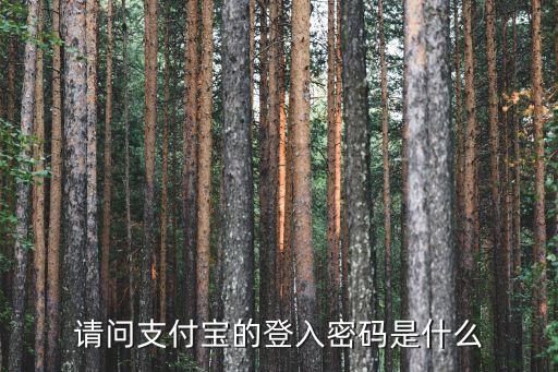 請問支付寶的登入密碼是什么