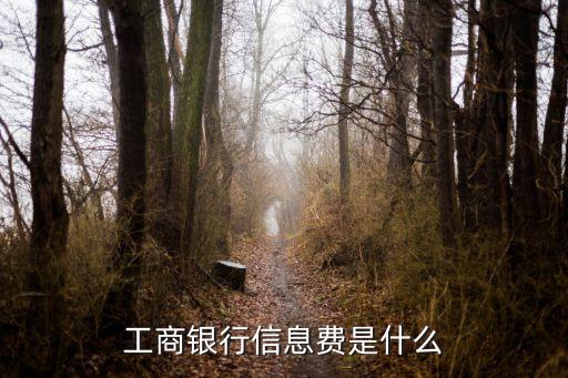 銀行卡信息服務(wù)費(fèi)是什么，工商銀行信息費(fèi)是什么