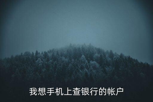 我想手機(jī)上查銀行的帳戶