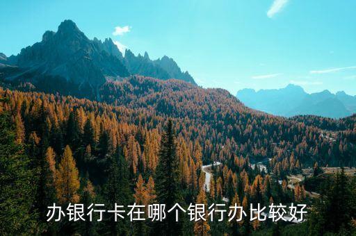 辦銀行卡在哪個(gè)銀行辦比較好