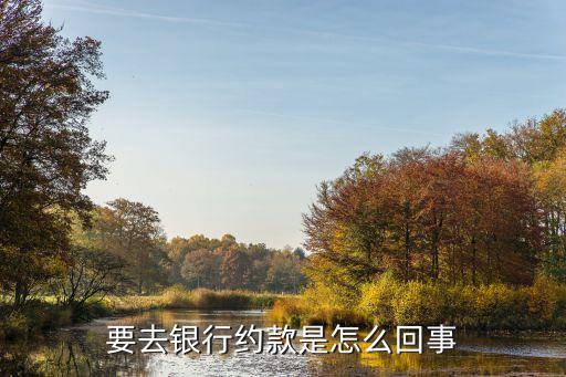要去銀行約款是怎么回事