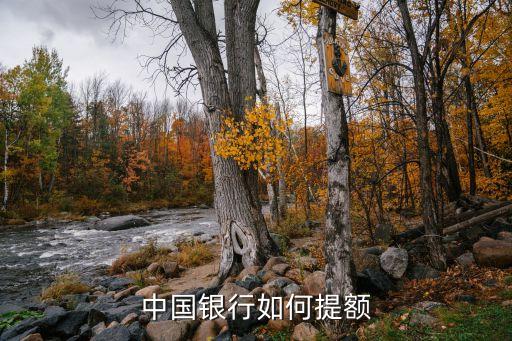 中國銀行如何提額