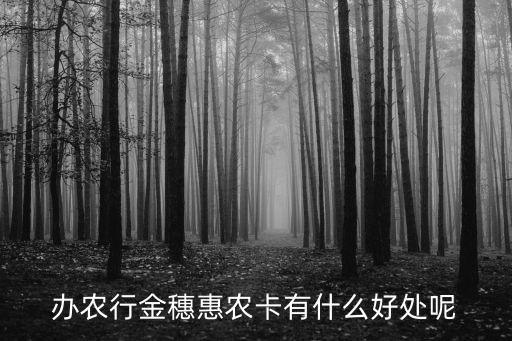 辦理農(nóng)行卡有什么好處，農(nóng)行卡有哪些優(yōu)點