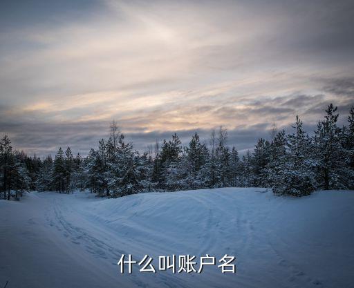 什么叫賬戶名