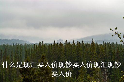 什么是現(xiàn)匯買入價現(xiàn)鈔買入價現(xiàn)匯現(xiàn)鈔買入價