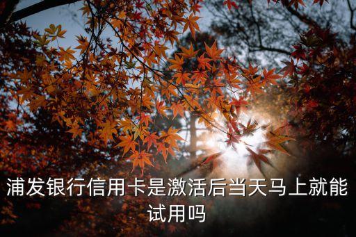 浦發(fā)銀行信用卡是激活后當(dāng)天馬上就能試用嗎