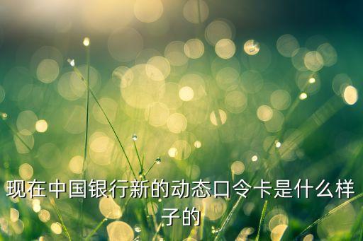 新的銀行卡是什么樣的，現(xiàn)在中國(guó)銀行新的動(dòng)態(tài)口令卡是什么樣子的