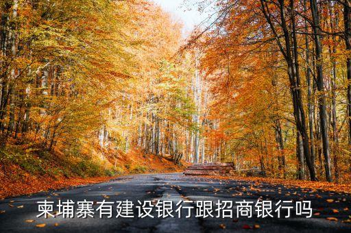 柬埔寨用什么銀行，在柬埔寨美金壞了去哪家銀行換