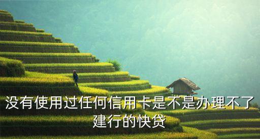 沒有使用過任何信用卡是不是辦理不了建行的快貸