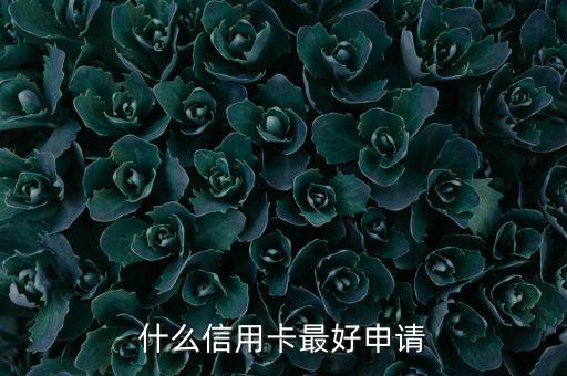 辦什么信用卡最好辦，什么信用卡最好申請(qǐng)