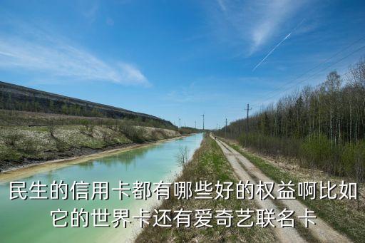 民生的信用卡都有哪些好的權(quán)益啊比如它的世界卡還有愛奇藝聯(lián)名卡