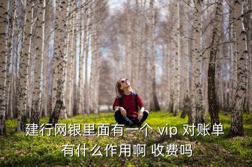 建行網(wǎng)銀里面有一個 vip 對賬單 有什么作用啊 收費(fèi)嗎