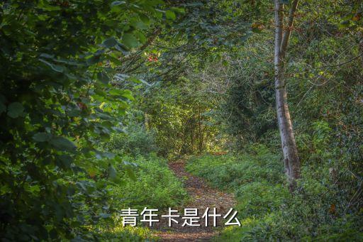 青年卡信用卡是什么意思，有誰(shuí)知道青年卡是什么和信用卡有什么區(qū)別嗎
