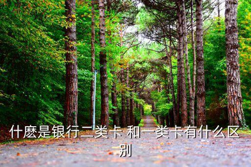 工行2類卡有什么用，工商銀行二類卡 能正常打工資嗎