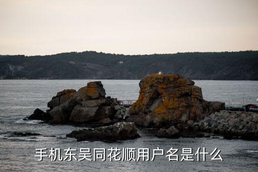 東吳證券用戶名是什么，東吳證券客戶號(hào)多少