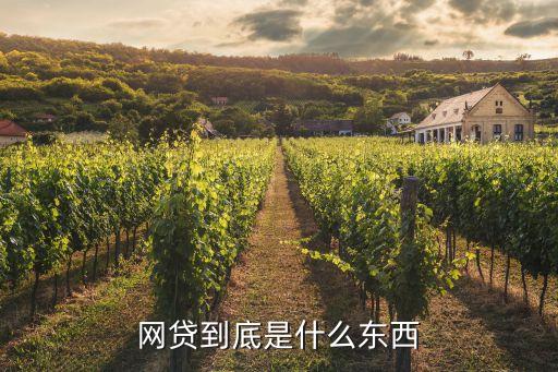 網(wǎng)貸到底是什么東西