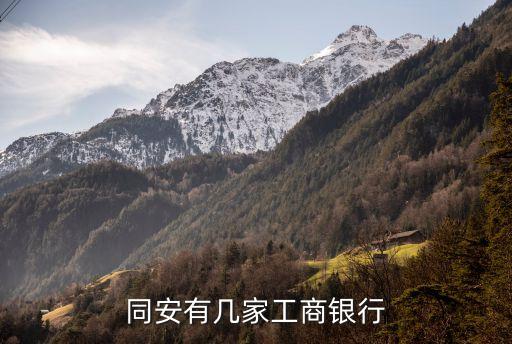 廈門(mén)同安都有什么銀行，廈門(mén)同安工業(yè)集中區(qū)有工商銀行嗎