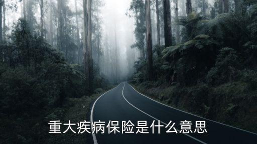 重大疾病保險(xiǎn)是什么意思