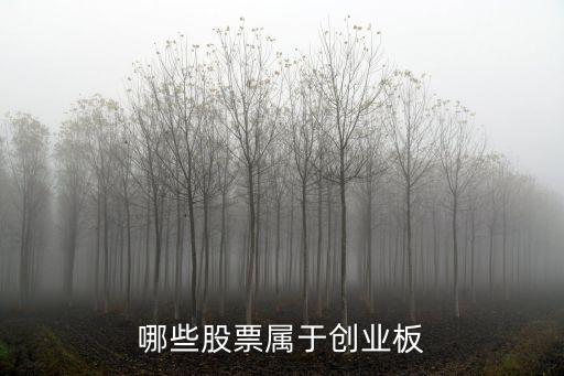 哪些股票屬于創(chuàng)業(yè)板
