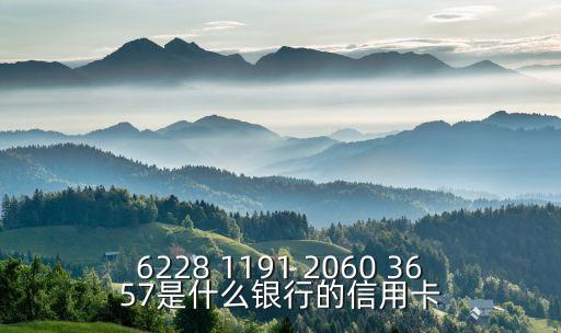 6228 1191 2060 3657是什么銀行的信用卡