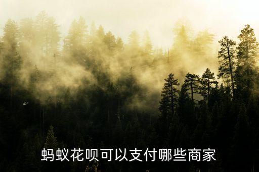 螞蟻花唄可以支付哪些商家