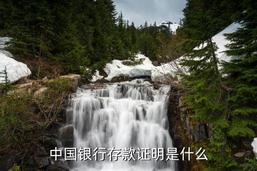 什么是銀行存款證明，工商銀行存款證明是什么