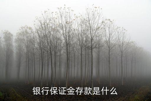 銀行保證金存款是什么