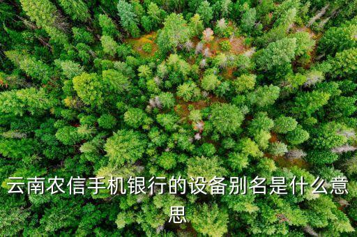 農(nóng)信登錄名是什么意思，陜西信合用戶名是什么意思