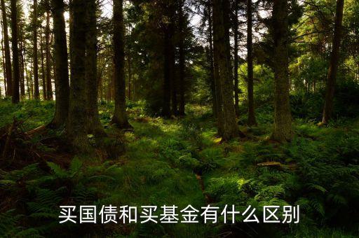 買國債和買基金有什么區(qū)別