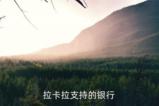 拉卡拉刷卡機什么銀行，辦理什么銀行的信用卡送拉卡拉手機刷卡器