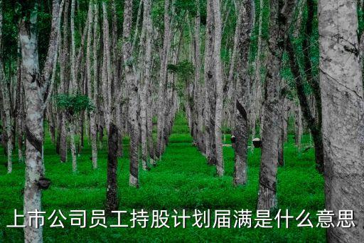 持股什么意思，上市公司員工持股計劃屆滿是什么意思
