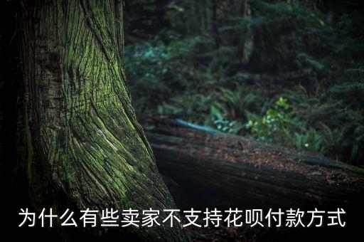 為什么有的店鋪不能用花唄付款方式，為什么淘寶有些店不支持花唄支付