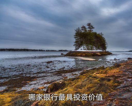 什么銀行有投資價(jià)值，招商銀行 與 興業(yè)銀行 股票那個(gè)更具有投資價(jià)值