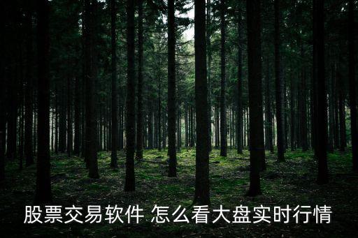 股票交易軟件 怎么看大盤(pán)實(shí)時(shí)行情