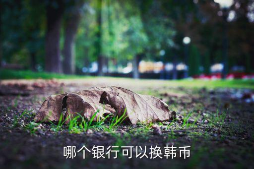 南幣網(wǎng)是什么公司電話，哪個銀行可以換韓幣