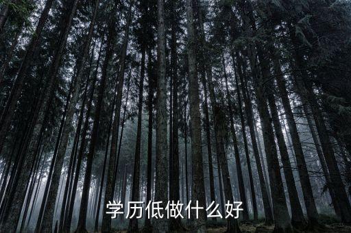 學(xué)歷低從事什么工作，文憑低找什么樣的工作