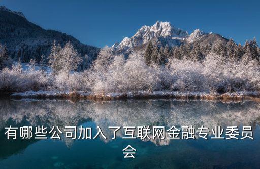有哪些公司加入了互聯(lián)網(wǎng)金融專業(yè)委員會(huì)