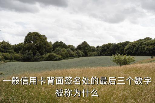 一般信用卡背面簽名處的最后三個(gè)數(shù)字被稱為什么