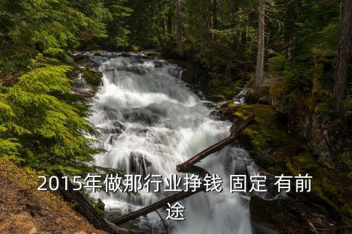 2015年做那行業(yè)掙錢 固定 有前途