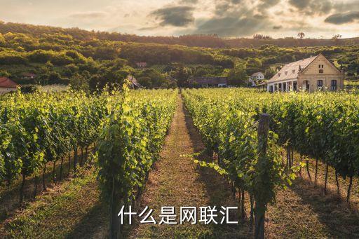 網(wǎng)聯(lián)支付是指什么，網(wǎng)聯(lián)和網(wǎng)銀什么區(qū)別