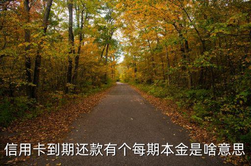 還款的本金是什么意思，信用卡到期還款有個每期本金是啥意思