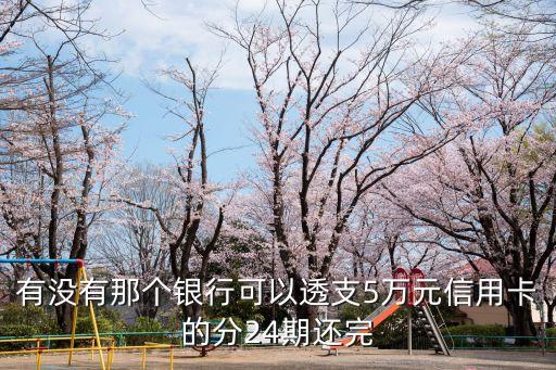 有沒有那個銀行可以透支5萬元信用卡的分24期還完